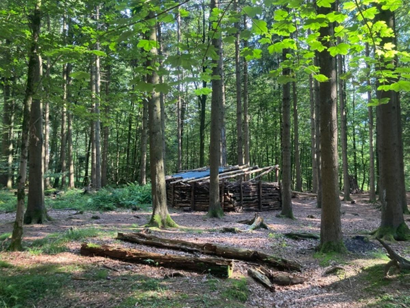 Wald