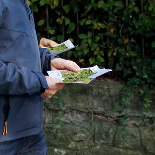 City-OL App auf dem Smartphone