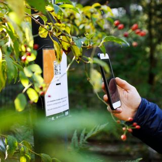 Erfassen eines Postens durch scannen vom QR Code